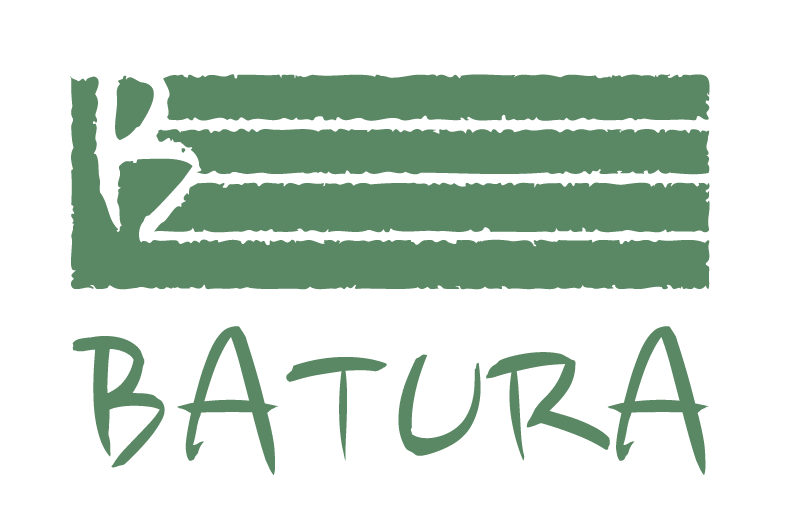 Batura Zikloa